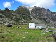 Alpe Pianezzoni (mt. 2138)